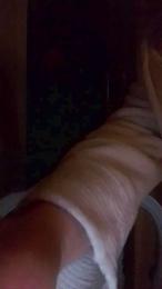 Cassandra64 webcam model stream image