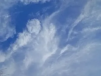 Zeefy webcam model stream image