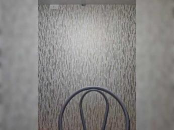 parasite02 webcam model stream image