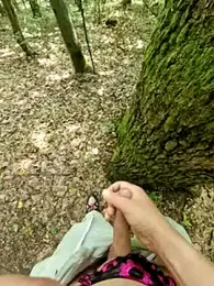 feathersify webcam model stream image