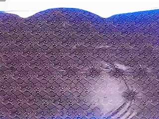 dolly-dirty webcam model stream image