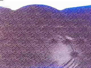 dolly-dirty webcam model stream image