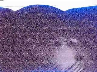 dolly-dirty webcam model stream image