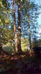 Lickmybottom69 webcam model stream image