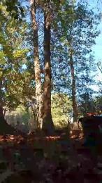 Lickmybottom69 webcam model stream image