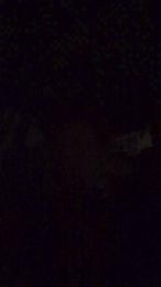 latinomulat1 webcam cam4 model stream image