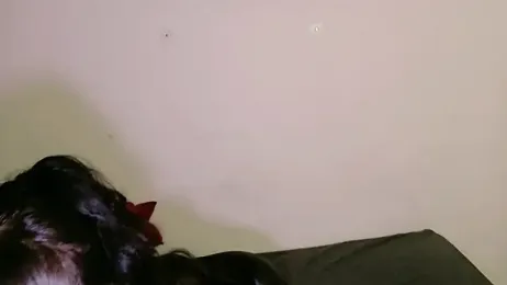 angeldust_777 webcam stripchat model stream image