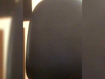 Sentara webcam model stream image