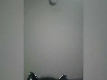 NoRules-Duo00 webcam bongacams model stream image