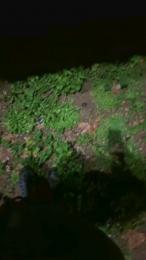 vampirexslayerx webcam model stream image