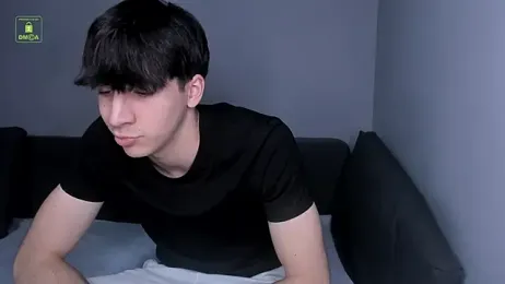 Quentin_Blake webcam model stream image