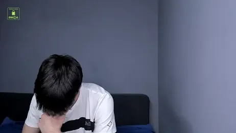 Quentin_Blake webcam model stream image