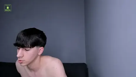 Quentin_Blake webcam model stream image