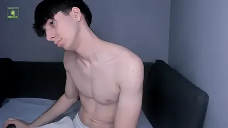 Quentin_Blake webcam model stream image