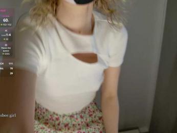 Visbee webcam model stream image