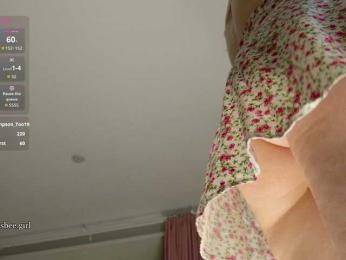 Visbee webcam model stream image