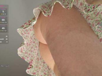 Visbee webcam model stream image