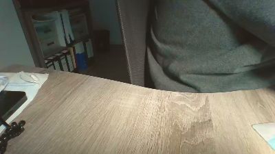 Rola311 webcam model stream image