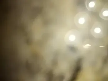 MissBella0969 webcam stripchat model stream image