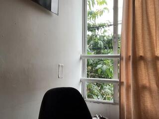 Braun Phillips webcam model stream image