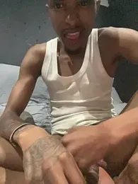 BlueIceCube webcam model stream image