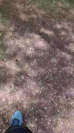 18cmdickforU webcam model stream image