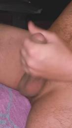 Pinguino08 webcam model stream image