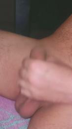 Pinguino08 webcam model stream image