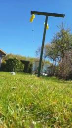 tomtoy29 webcam model stream image