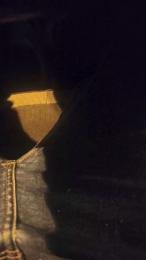 francesc1009 webcam model stream image