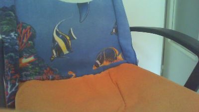 laparki webcam model stream image