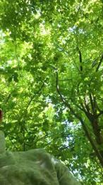 Socke72 webcam model stream image