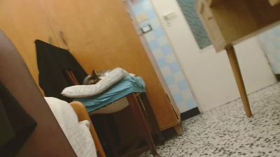 Calliope_Epica webcam model stream image