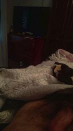 davidof3127 webcam cam4 model stream image