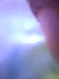 Painstickwes webcam model stream image