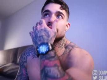 dominic_sullivan1 webcam chaturbate model stream image
