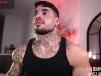 dominic_sullivan1 webcam chaturbate model stream image