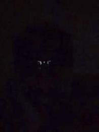 alfoneko webcam model stream image