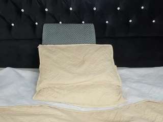 sebas-cat webcam model stream image