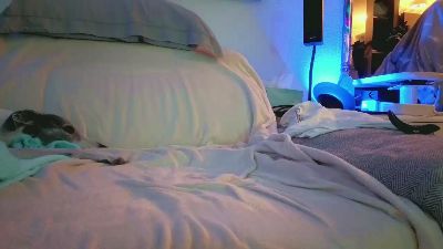 HuGo4K webcam cam4 model stream image