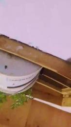 mia888hot webcam model stream image