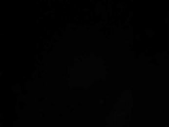 SallyeLeins webcam bongacams model stream image