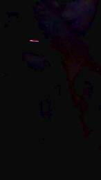 ema_GW webcam cam4 model stream image