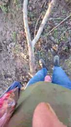 Gym2 webcam cam4 model stream image