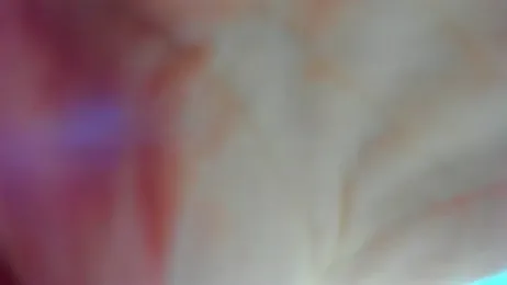 AishaRouhi webcam stripchat model stream image