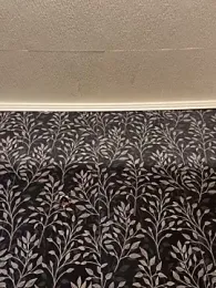 Evelin199 webcam model stream image