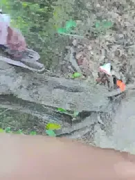 RoomExotic11 webcam model stream image