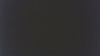 HotDogXL webcam model stream image