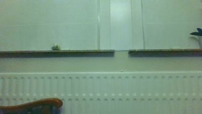 bertolini83 webcam model stream image