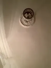 veilofstrength webcam stripchat model stream image